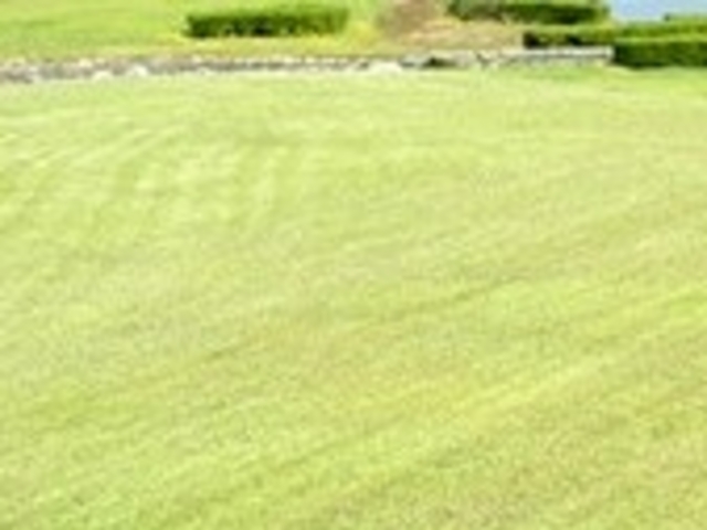 tXs[h̃C{[p[N̓eʐ^1