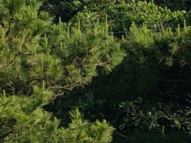 ���R_����x