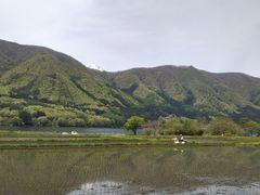 ^{剤̑咬s؍΂ւ̓eʐ^1