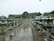 ߋT|~̐юi`j̓eʐ^2