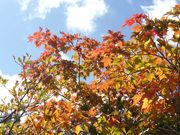 C[XgEbĥ킩ݕ̍gt̓eʐ^2