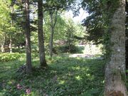 bippõmm̐X(̐XR)̓eʐ^1