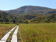 C[XgEbȟIRoRRώ@HiYR[Xj̓eʐ^1