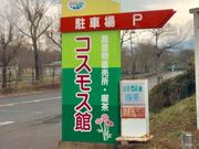 �͂�͂�͂邳��̌É�s�R�X���X�ق̓��e�ʐ^1