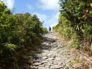 C[XgEbȟI̓eʐ^1