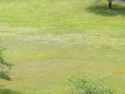 tXs[ĥ݂ǂƎȒEzL̓eʐ^1