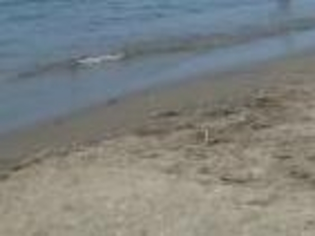 ANZ[JC̍lCiVsj̓eʐ^1