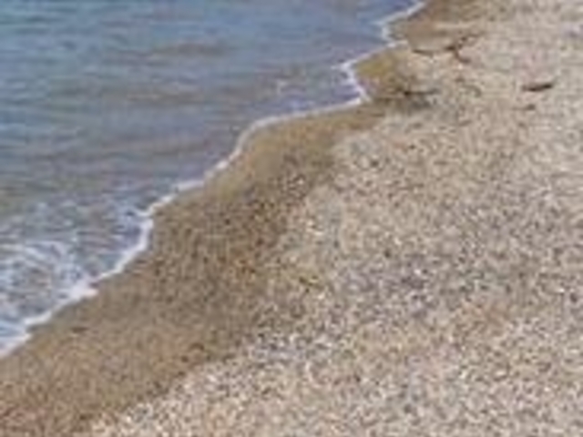 ����C������_����C������