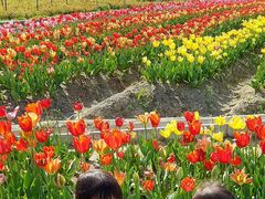 肠̍䥗΂̃~[WA n[xXg̋uւ̓eʐ^1