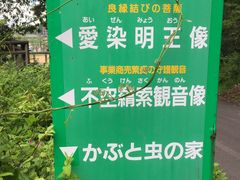 あきちゃんさんの粟津岳山遊歩道の投稿写真1