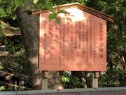 Ђ͂񂳂̊pٗjEƂ̓eʐ^1