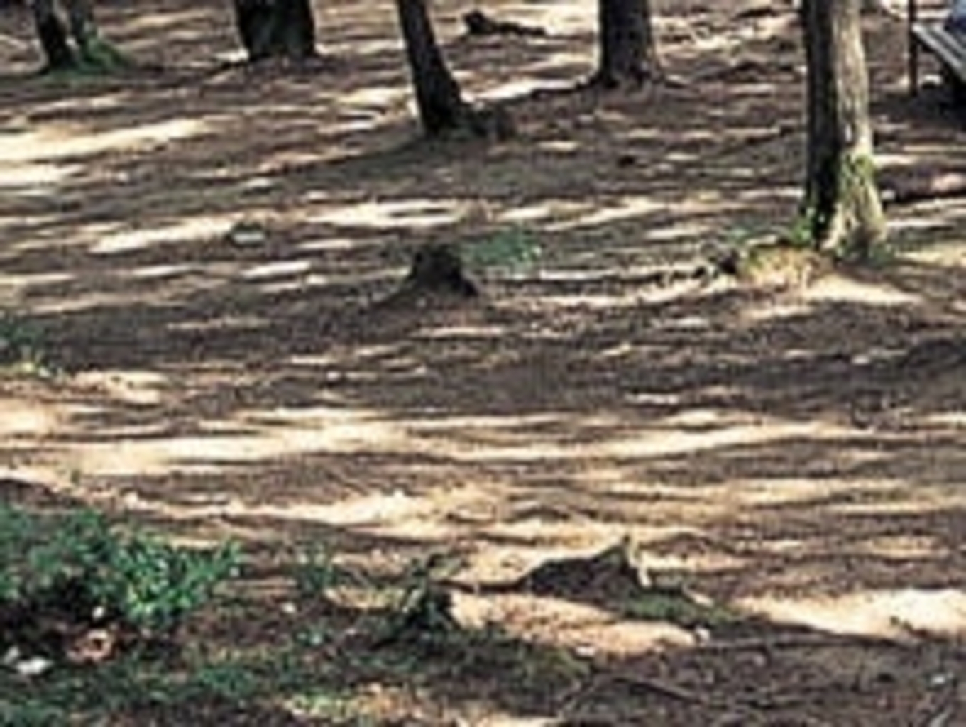 鹿瀬のキャンプ バンガロー コテージランキングtop1 じゃらんnet