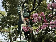 有栖川宮記念公園の桜の口コミ一覧 じゃらんnet