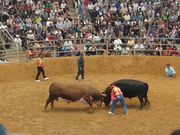 kijimunar̐ΐ쑽ړIh[̓eʐ^1