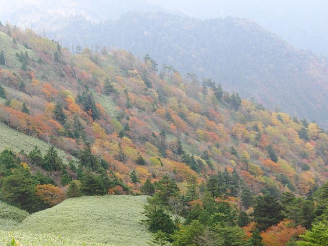 ቺɂ͍gt_xm䍂i쌧qj