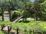 A~E̒OgRû߂v̓eʐ^1