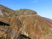 ^bN̈ɐRhCuEFC̓eʐ^1