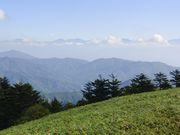 ^bN̕xm䍂i쌧qj̓eʐ^1