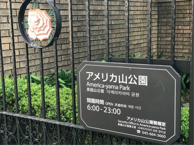 �y�A�����J�R�����z_�A�����J�R����