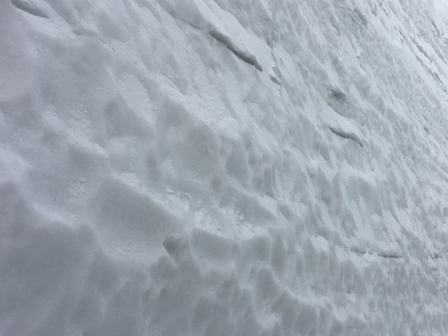 ��̕�_��̑�J
