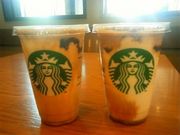 Ђ݂̃X^[obNX R[q[ zfCEXNGALXiStarbucks Coffeej̓eʐ^1