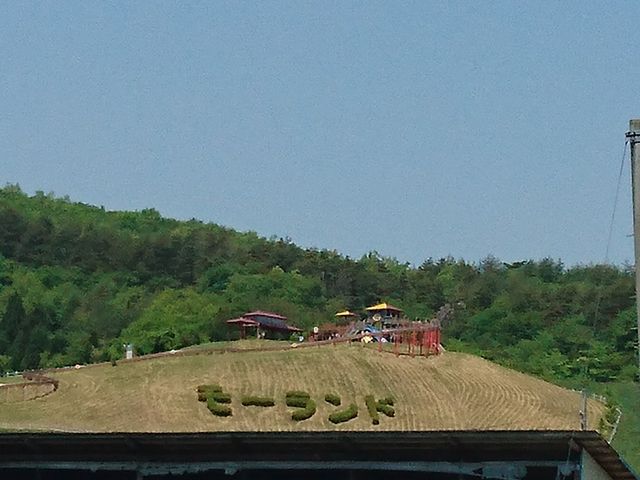 ���`������������܂�_��?�����h�{�g