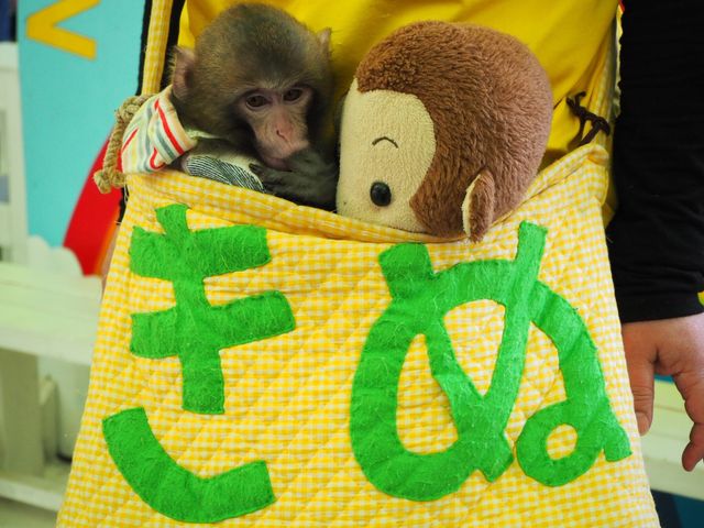 �����̖��O�͂���
�ꏏ�Ɏʐ^���B��܂���_�����郉���h���A�j�^�E��