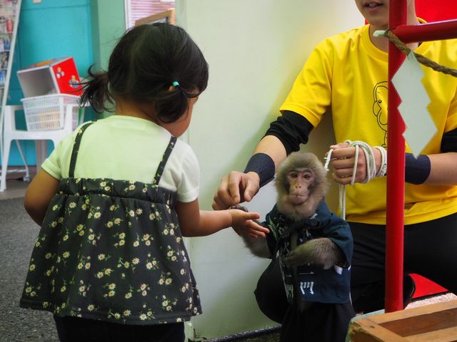 ���邿���ƈ��聕�n�C�^�b�`
���ǂ��͑���_�����郉���h���A�j�^�E��