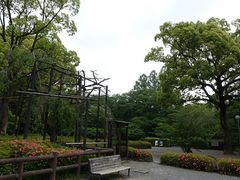 イオンさんの石清水八幡宮の桜の投稿写真1