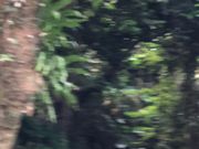 ݂̊όoXvēij̓eʐ^1