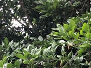 ���݂���̉��c���L�˂̓��e�ʐ^1