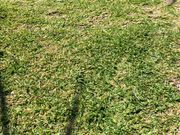 ���݂���̗��ԓ��_�������̓��e�ʐ^1