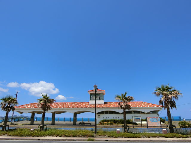 _C񂳂SEA DAYS COFFEE̓eʐ^4