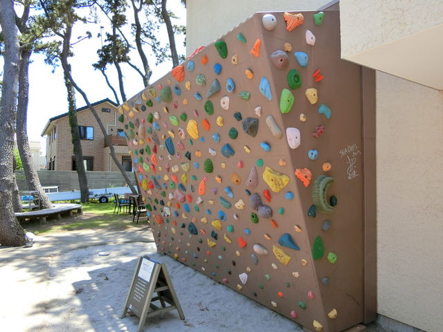 JtF̉ɂ̓{_O_SEA DAYS COFFEE