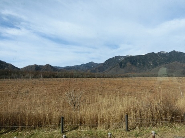 ��ꃖ��_����