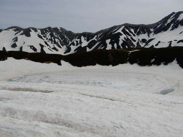 �r�Ȃ�ł�����_�݂��肪�r