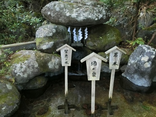 ��r���_������r�R�_��