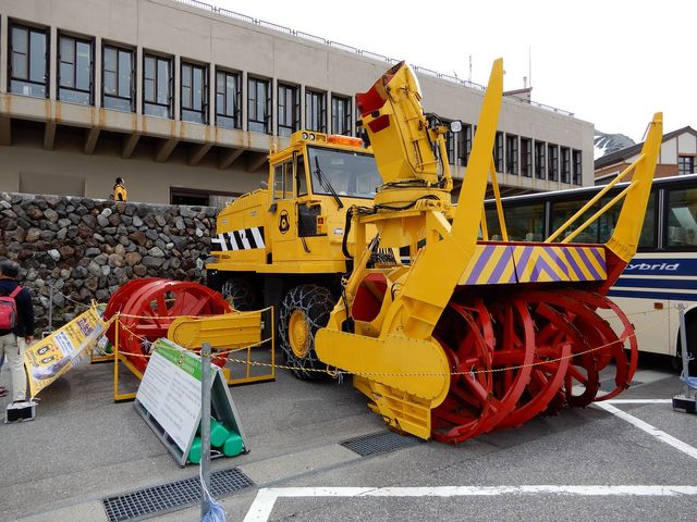 �O��ڌF���Y_�����^�[�~�i��