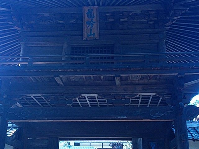 �Ԃ񂽂���̓V�Q���̓��e�ʐ^1