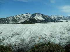 V񂳂̗RAy[gyxRzւ̓eʐ^1