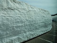 V񂳂̗RAy[gyxRzւ̓eʐ^2