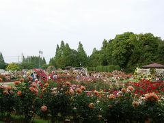 Todays̈ɓޒ{sLOւ̓eʐ^1