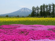 yosshy̎O񂿂̎ł̓eʐ^5