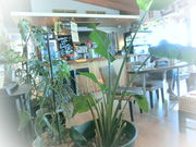 _C񂳂NONKEYfS CAFE̓eʐ^2