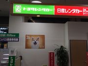 qṼg^^[XHc@Hc`X̓eʐ^1