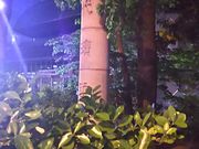 �܂�[�񂳂�̉i��l�Ք�̓��e�ʐ^1