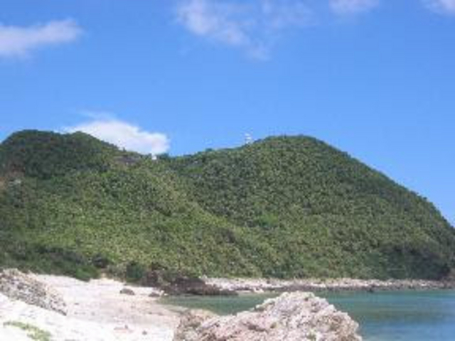 ���i����̋v�t�R�̓��e�ʐ^1