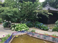 �܂邳��̐��C���i�����������j�ւ̓��e�ʐ^1