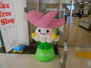 킩ԁ[̉Ԋ`^[~i̓eʐ^1