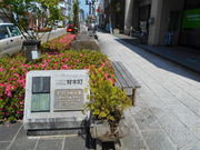 킩ԁ[̂[͂Ɓ[ԃAxj[ޖؒ̓eʐ^1